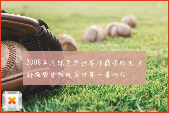 2008乒乓球男单世界杯巅峰对决 王皓强势夺冠巩固世界一哥地位