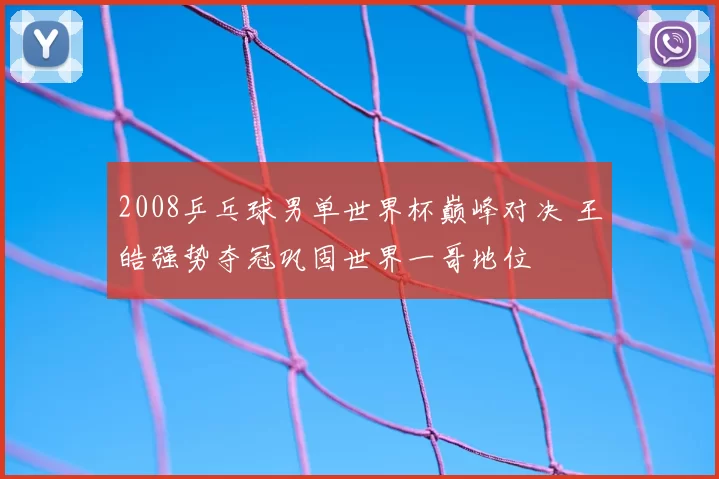 2008乒乓球男单世界杯巅峰对决 王皓强势夺冠巩固世界一哥地位