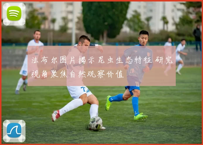 法布尔图片揭示昆虫生态特征 研究视角聚焦自然观察价值