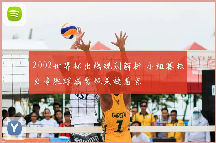 2002世界杯出线规则解析 小组赛积分净胜球成晋级关键看点