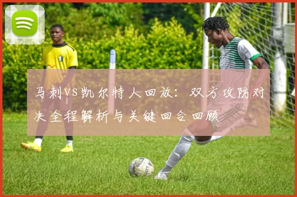 马刺vs凯尔特人回放：双方攻防对决全程解析与关键回合回顾