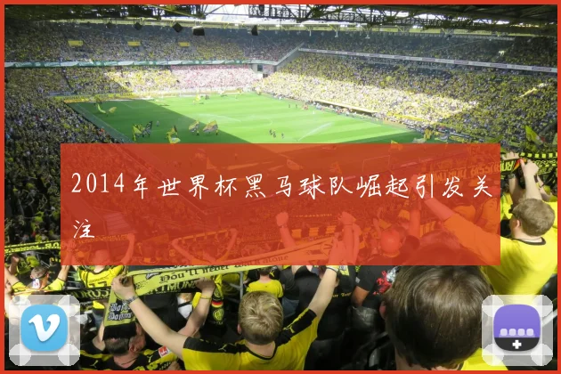 2014年世界杯黑马球队崛起引发关注