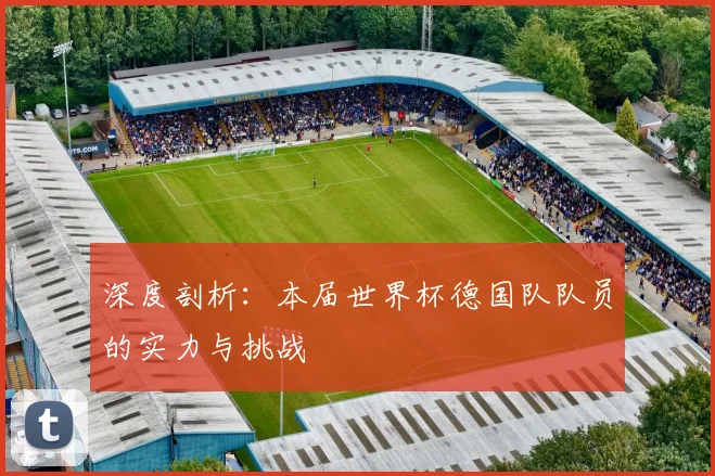 深度剖析：本届世界杯德国队队员的实力与挑战