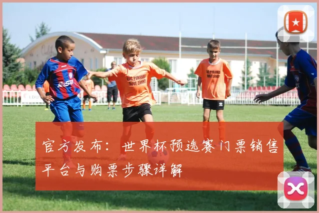 官方发布：世界杯预选赛门票销售平台与购票步骤详解