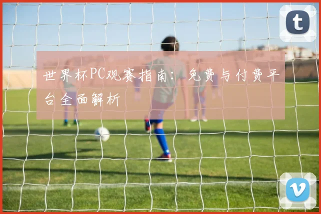 世界杯PC观赛指南:免费与付费平台全面解析