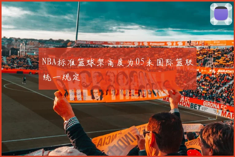 NBA标准篮球架高度为05米国际篮联统一规定