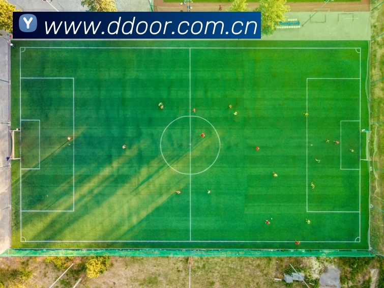 开云手机官方版在线入口 - 开云(中国)发展历程